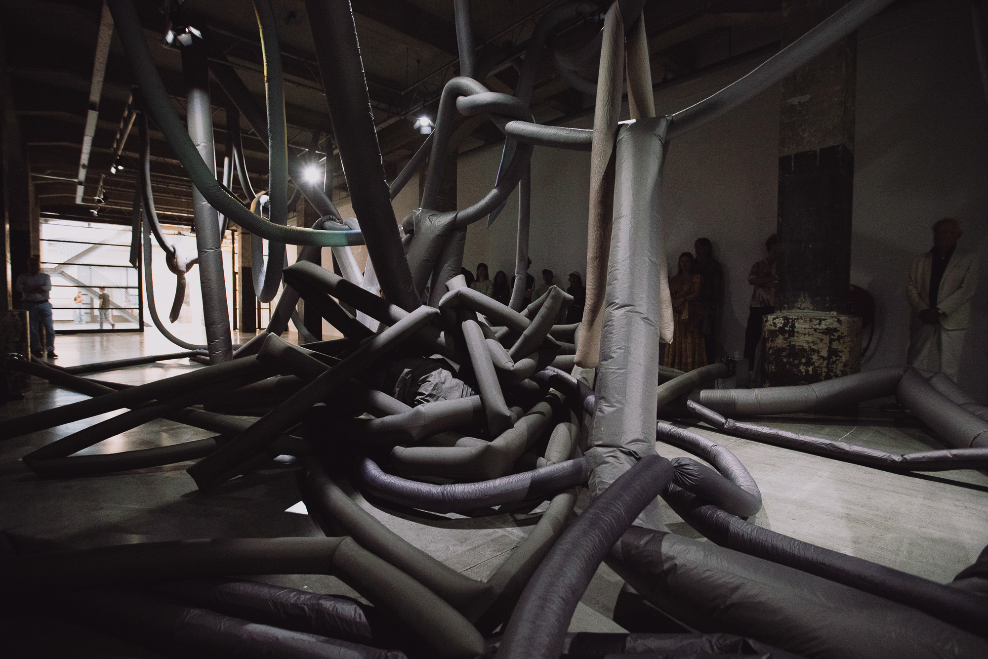 loods6_sympoietic_shapes_1st_67