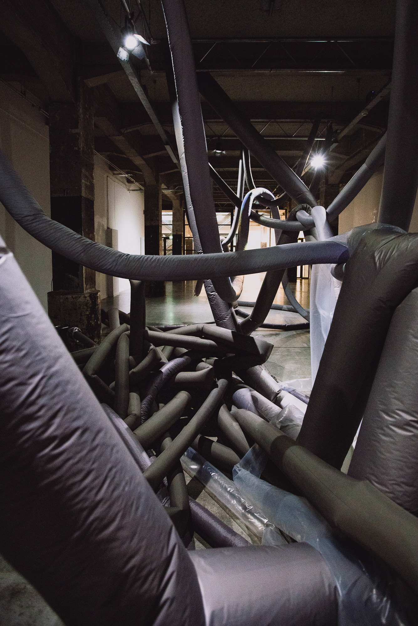 loods6_sympoietic_shapes_1st_12