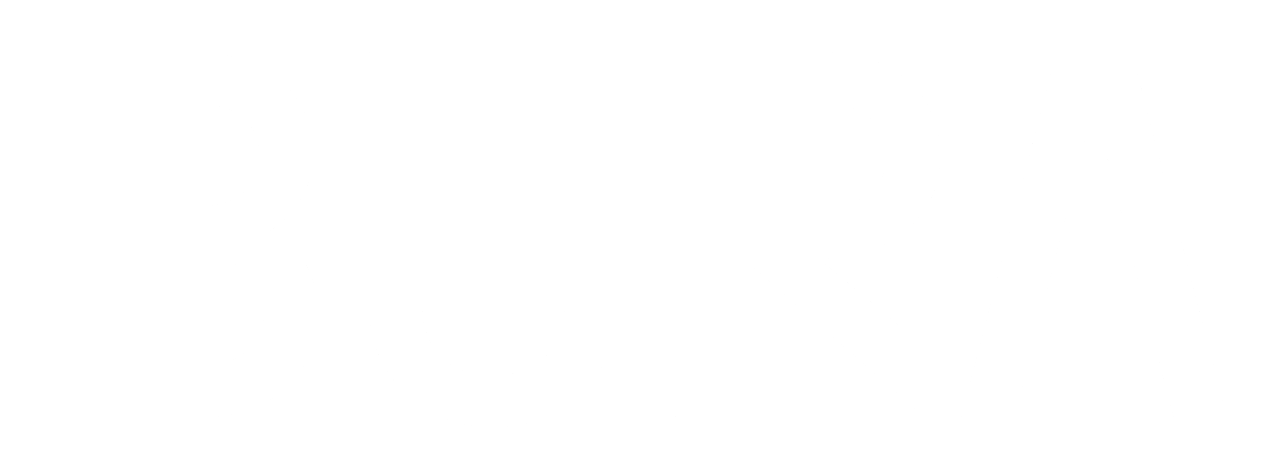 bura-logo_white
