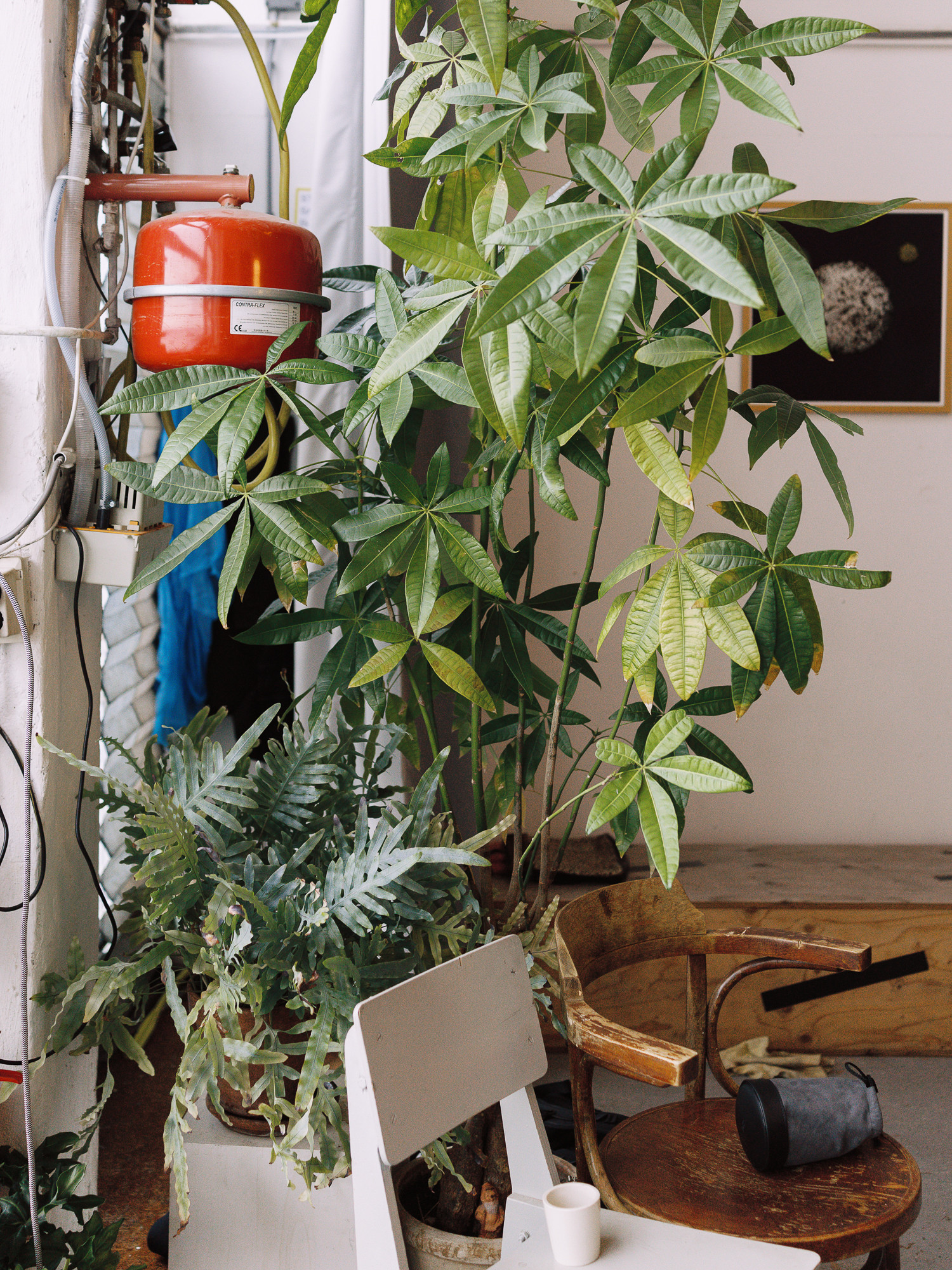 251213_loods6_studiosarai_sophievanveen_0055