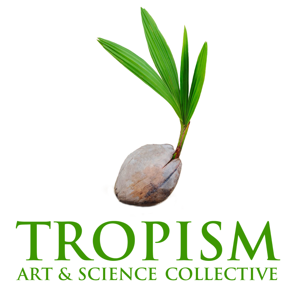 a31057d6-5d32-407a-8bbe-1dabd4888208